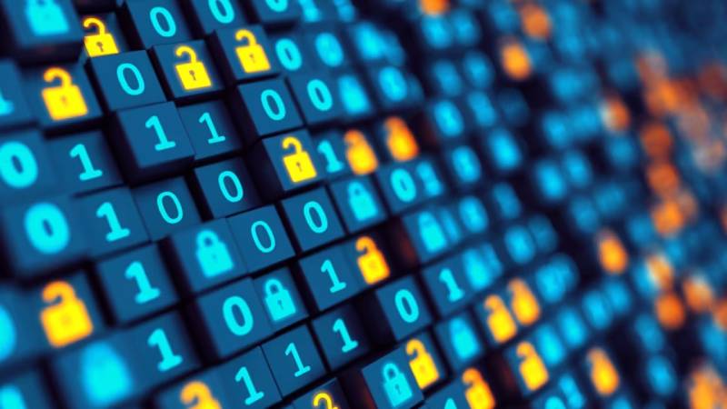 图们市软件定制：数据管理效能的核心密钥